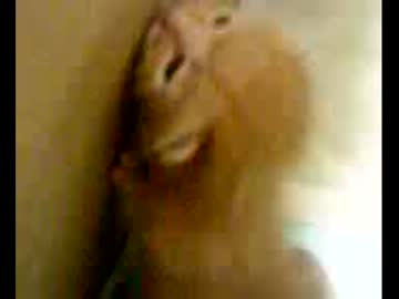 拾いねこ＠生後10日目　9日間だけだったとはいえ、やっぱり淋しいですね