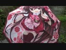 痛傘をちょっと素敵に撮影してみた！【Ｃ８２】