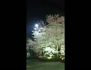ホラーＯＰ.wmv