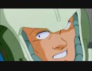 【H.264】バグVSビルギット【F91】