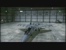 ACE COMBAT ASSAULT HORIZON　Online Play De-2