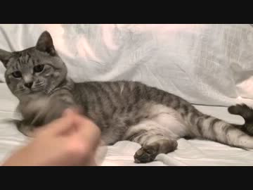 てめぇボンボンうるせぇんだよ！