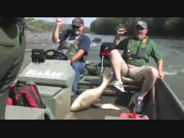 究極のフィッシング