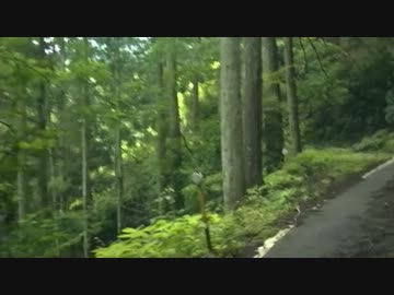 【険道】男２人で険道初進入【静岡】