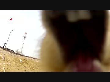 バイコヌール宇宙基地にエイリアン出現 !!