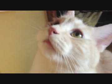 狩るものと狩られるもの