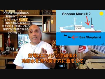字幕【テキサス親父】シー・シェパードが日本国政府にテロ攻撃！