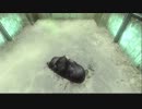 【実況】 マグとバットマンが行く！アーカム・シティ part26