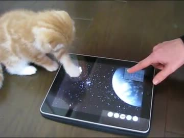ｉＰａｄ vs モフモフ子猫