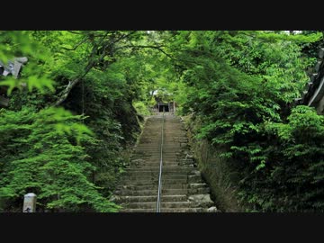 2012年京都に行ってきた(45)【濃緑の二尊院～】