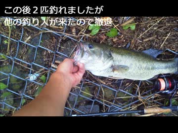 エサでバス釣ってみた