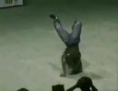 変態な動き