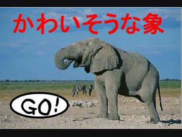 シュバババ 象
