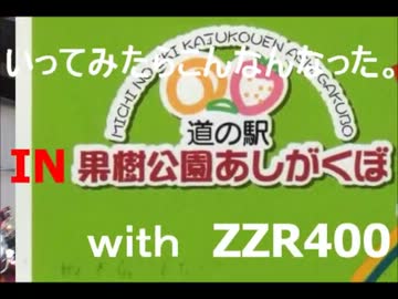 いってみたらこんなんなった【秩父散歩】with ZZR400