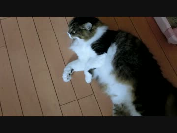 大好きな母親と１週間ぶりの再会