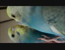 ななちゃんvol.6　「鏡」