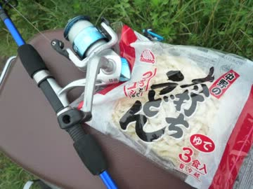 川に魚がいたから釣ってみた。