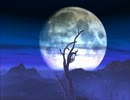 【薄明かりの】夕闇・夜空画像集【下で】