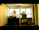 【今更ながら】ルカルカ★ナイトフィーバー踊ってみた【友人と２人】