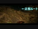 【実況】 加速するドラゴンズドグマの旅　page53