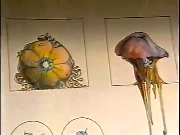 宇宙 ～未知への大紀行～「第02集 地球外生命を探せ」(01 of 02)