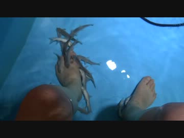 7/19 北海道温根湯温泉【山の水族館】
