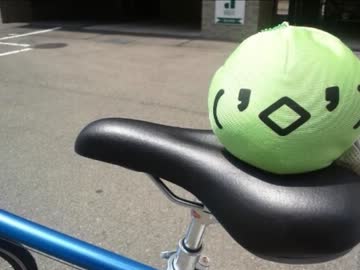 ちょっと鹿島に行ってくる（M浦さんの冒険記）