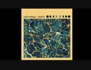 Wild Nothing / Shadow