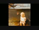 The Rosebuds - Go Ahead