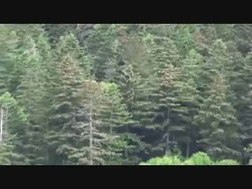 7/20 【北海道然別湖の大自然】