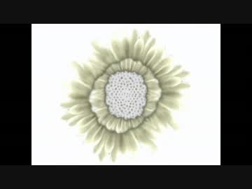 【NNI】kaleidoscope【Retouch】