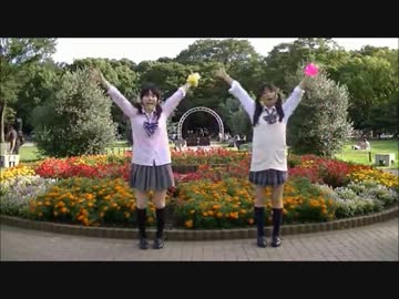 【もこぴよ】te-yut-te と ぐーぐー【踊ってみた】