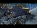 【PSO2】スノウ夫妻ハードソロ【ソードHu】