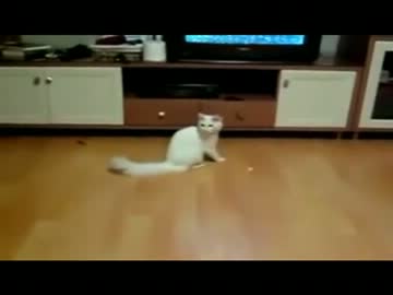 ティガレックスなぬこ