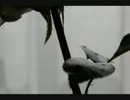 明日を落としても/Syrup16g【ピアノカバー】