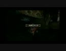 【MHP3】レイア単体オウガ双剣【0針目指しました】