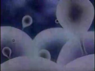 宇宙 ～未知への大紀行～「第08集 宇宙に終わりはあるのか」(02 of 02)