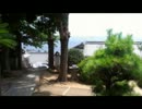 日本ミツバチ　分蜂 2012/7/26