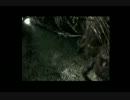 【実況】ババババイオハザードじっきょープレイpart27