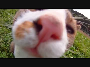 田舎道ぷちツーリングに行きます【道志みち、宮ヶ瀬湖】　後編