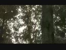恨み03