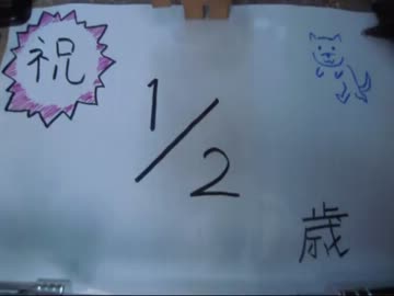 子犬を貰ってきた（112日目）