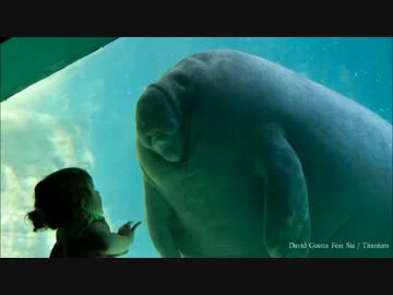 【洋楽】　夏うた　2012