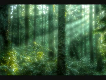 【オリジナル曲】　深キ闇ノ樹海