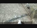 ２０１２年うみねこ観察記　７月２９日　日曜日