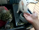 おやつの時間