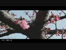 春に一番近い街　歌ってみました【himono】