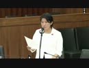 2012年07月27日【衆議院】国土交通委員会 小宮山泰子(生活一)