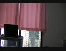 単なる　おまけ　なのです。