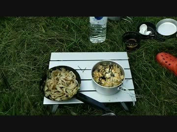 【メタボ】親子丼 と 焼きうどん【クッキング】